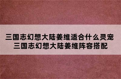 三国志幻想大陆姜维适合什么灵宠 三国志幻想大陆姜维阵容搭配